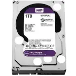 Western Digital 1TB WD Purple Surveillance Disco Rígido Interno HDD - SATA 6 Gb/s, 64 MB Cache, 3,5" - WD10PURZ
